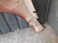 фото thumb №8, Крыло правые перед escort mk5 97r wisniowy