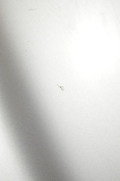 фото thumb №10, Капот крышка двигателя mercedes c215 w215 cl500 c744 2158800157