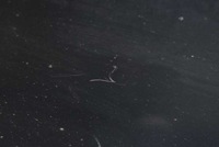 фото thumb №6, Двері праве перед передні zgniłozielone chevrolet captiva 06-11