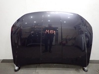 фото thumb №1, Капот hyundai tucson iv 2020-