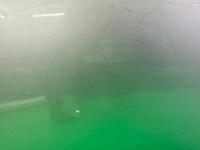 фото thumb №9, Двері ліві задні зад сріблястий renault megane 3 iii 08- лак: ted69 hb 90um