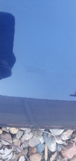 фото thumb №5, Ford c-max капот кришка двигуна колір l2