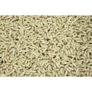 Живая прикормка POLISH WHITE WORM 1л