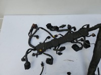 фото thumb №7, Жгут электропроводка двигателя audi s6 c7 4g 4.0 tfsi ceu s-tronic 4g1971713g