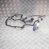 фото thumb №1, Жгут передних правых дверь maserati quattroporte vi 06700093500