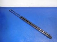 фото thumb №1, Амортизатори кришки задня kpl renault kangoo ii 08-13r