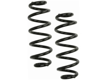 фото thumb №1, Пружини зад kyb ra5461