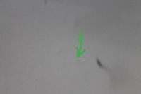 фото thumb №6, Дверь левый перед seat leon ii lift lx7w 09-12