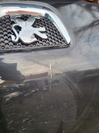 фото thumb №4, Peugeot bipper капот передняя оригинальная kompl