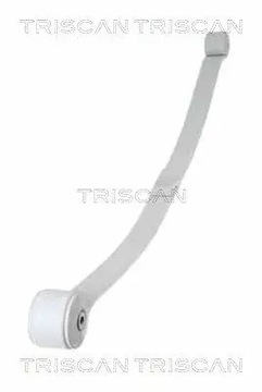 фото thumb №2, Ресора листовий зад 1-piórowy 8765 16048 triscan