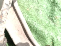 фото thumb №4, Opel cascada 1.4 t поворотний кулак важіль привідний вал амортизатор правий