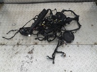 фото thumb №3, Ford mustang 5.0 gt 17 r электропроводка кабины середина