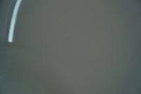 фото thumb №11, Двері праві перед audi tt 8j ly9c