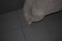 фото thumb №6, Підкрилок правий задня audi a6 c6 sedan