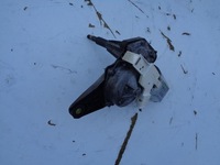 фото thumb №1, Моторчик дворники задняя renault scenic 2 ii