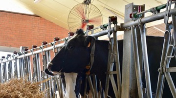 WENTYLATOR MIESZACZ POWIETRZA MULTIFAN 50CM