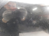 фото thumb №8, Дверь правое задняя - peugeot 2008 ii 19-23 exy