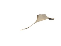 фото thumb №1, Захист поріг молдинг накладка поріг права bmw x5 e70