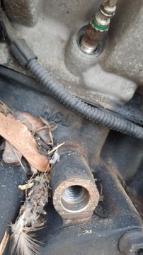 фото thumb №7, Двигун vw golf bora 1.9 tdi 101km atd вимірювання