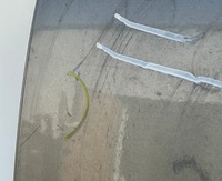 фото thumb №5, Дверь левая задняя задние audi a4 b7 sedan