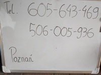 фото thumb №10, Двері toyota aygo i 2005-2013 задня правий nowe org