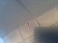 фото thumb №6, Капот vw touran i mk1 рестайлінг колір ld7x роки 2006-2010 оригінал