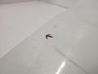 фото thumb №9, Дверь перед передние правое volvo v70 s80 07 - 16