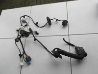 фото thumb №1, Жгут электропроводка дверь перед левая anglik c-max mk1