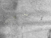 фото thumb №3, Полка багажника задняя peugeot 307 хэтчбек