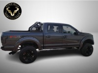 ТРУБОПРОВОД ПАЛАК ROLL BAR HARD BULL PERFORMANCE ДЛЯ FORD F-150 F150 F48