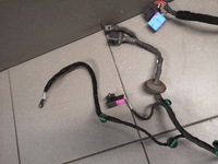 фото thumb №4, Жгут дверь левый задняя vw phaeton 3d0971693bg