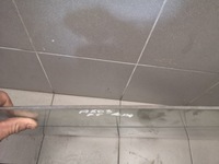 фото thumb №9, Стекло дверь правый задняя audi a8 d3 long vsg 04r