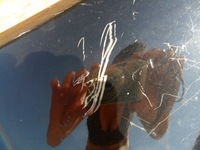 фото thumb №7, Honda civic hb ufo 2005 2006 2007 крыло левый