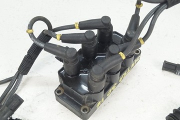 фото thumb №6, Sintra котушка запалювання кабелі 3.0 v6 комплектна