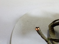 фото thumb №5, Bmw x5 g05 x7g07 4.4 насос abs блок керування 6862047