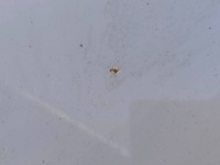 Купить Bmw x3 f25 2.0d n47t xdrive 2012r крыло  правый  перед alpinweiss 3 300, фото thumb