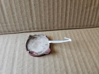 фото thumb №2, Заглушка фаркоп задняя peugeot 307 sw