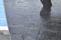 фото thumb №8, Volvo v40 ii двері лівий перед ліва передні kpl