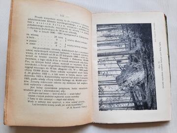 Stanisław Sokołowski LAS TATRZAŃSKI 1936 ryciny mapy