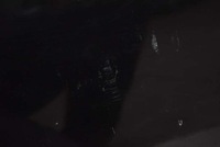 фото thumb №4, Двері праві перед передні ktvd peugeot 3008 1 i 10-13