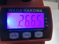 фото thumb №13, Подрамник перед fiat sedici 189 1.9 d multijet 120 4x4 - d19aa состояние bdb