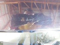 фото thumb №6, Крышка багажника крышка багажника toyota corolla e21 kombi