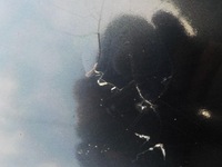 фото thumb №5, Бампер задний задняя audi a6 c6 sedan