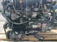 Hyundai kia 1.6 crdi двигатель d4fd комплектный  90tyskm Киев, фото thumb