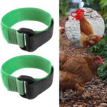 2x шейный ободок с курицей и петушком, анти-зеленый1