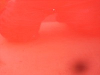 фото thumb №13, Дверь стекло правый перед fiat grande punto 5 дверь 1.4b europa 163/b