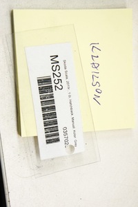 фото thumb №5, Ms252 skoda scala клаксон сигнал звуковой