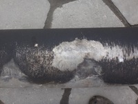 фото thumb №5, Вихлоп гасник труба opel vivaro renault trafic 1.9