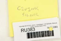 фото thumb №6, Ru383 hyundai i20 iii 1.0i датчик faz распределительного вала головки 24357-07170