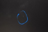 фото thumb №7, Капот крышка двигателя золотая kia picanto 2 ii 11-15